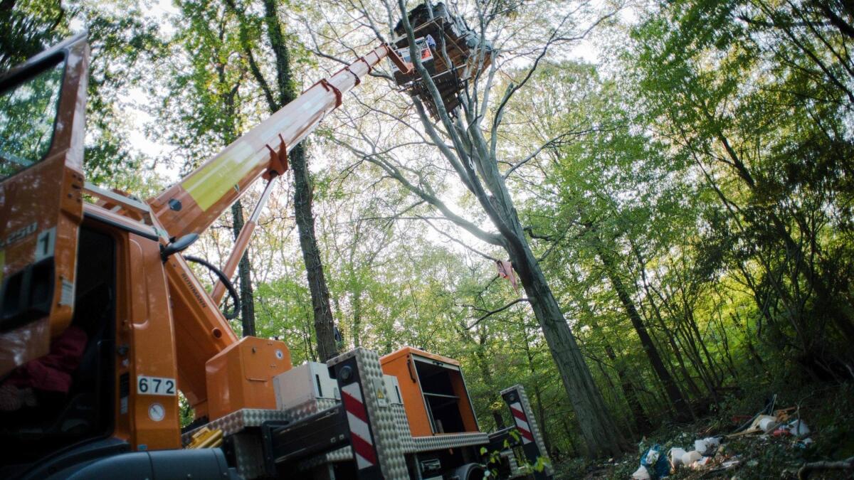A treehouse of environmental activists is torn down in the Hambach Forest near Cologne that is to be cleared for an open-pit mine. Activists seek to preserve the forest and they oppose the use of coal.