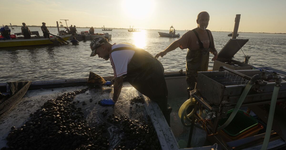Italia: la salinità del delta del Po mette in pericolo la pesca e l’agricoltura