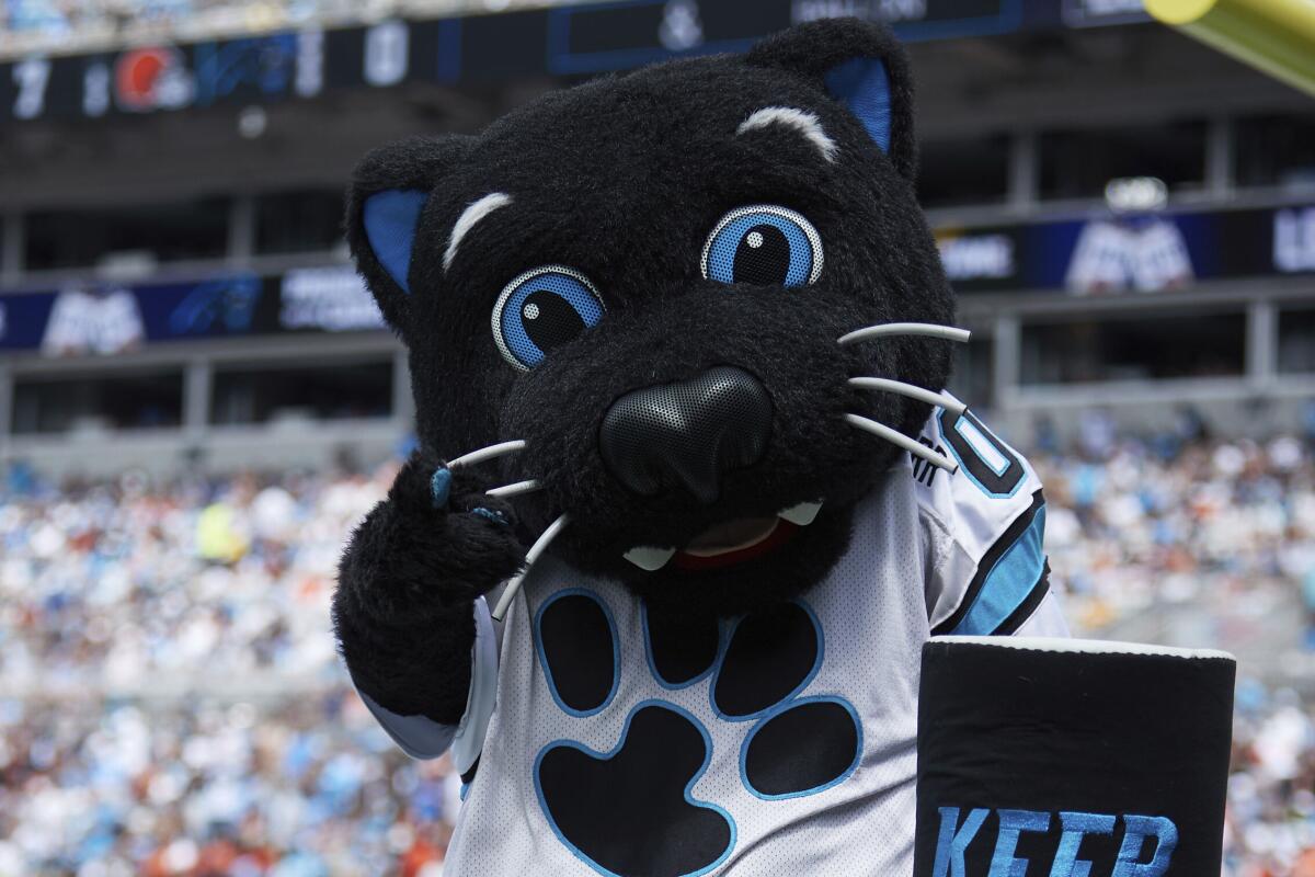 Carolina Panthers Sir Purr entertains the crowd during an NFL football game 