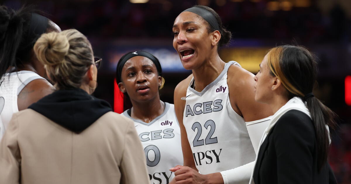 Aces 球星阿贾·威尔逊 (A’ja Wilson) 在与球迷发生冲突后要求尊重