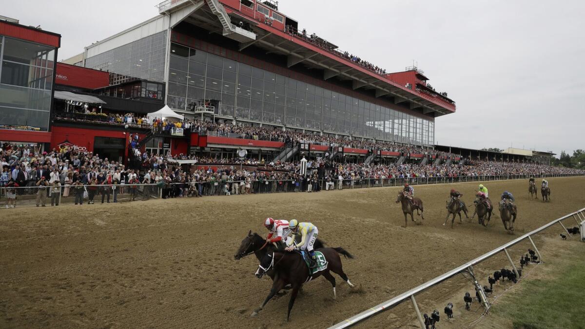 Horses race at the 142nd Preakness Stakes horse race at Pimlico race course in Baltimore on May 20, 2017.