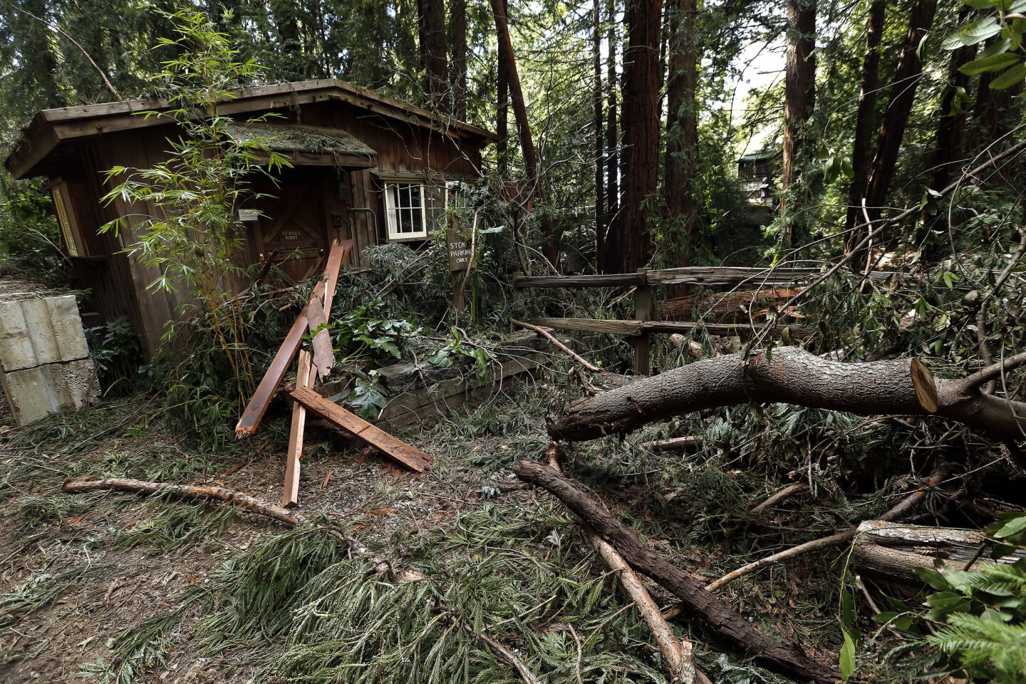 Of all the properties in Big Sur, Deetjen's Big Sur Inn was perhaps hit hardest by the winter storms. Falling redwoods damaged several of the hotel's historic buildings.