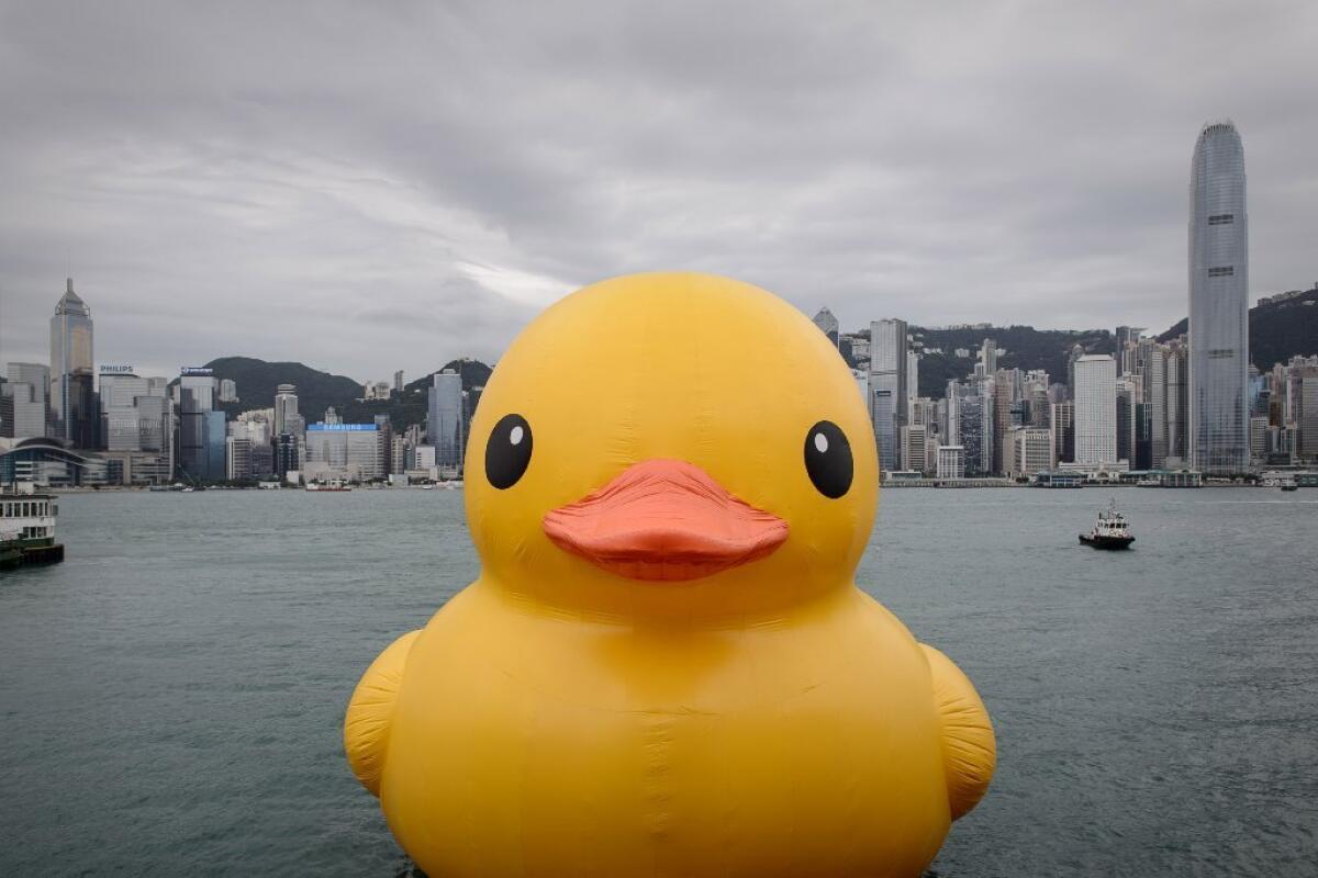 Florentijn Hofman's "Rubber Duck" in Hong Kong's Victoria Harbor.