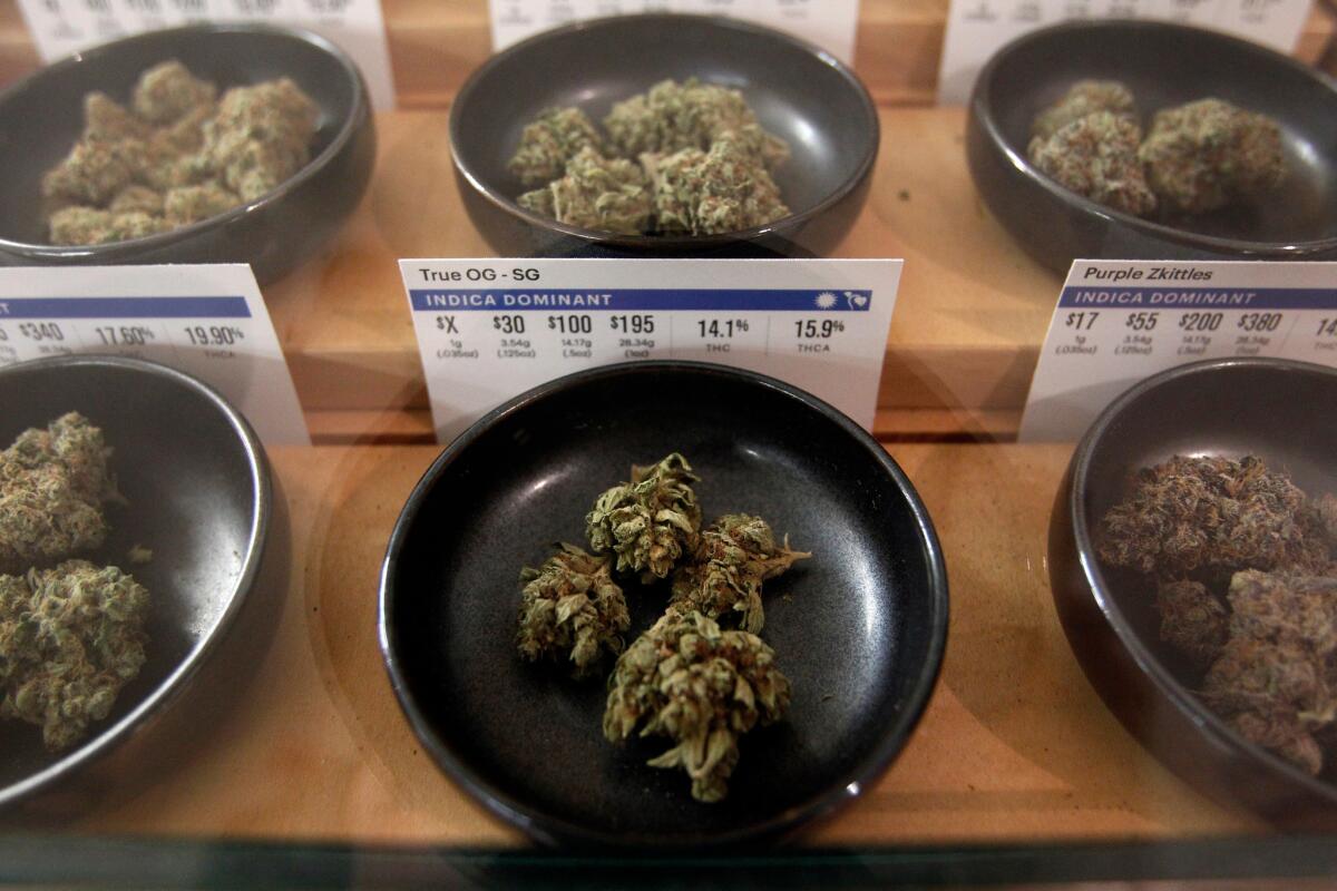 Marijuana on display at the Harborside dispensary in Oakland. Gov. Jerry Brown on Tuesday named members of a new cannabis appeals panel.