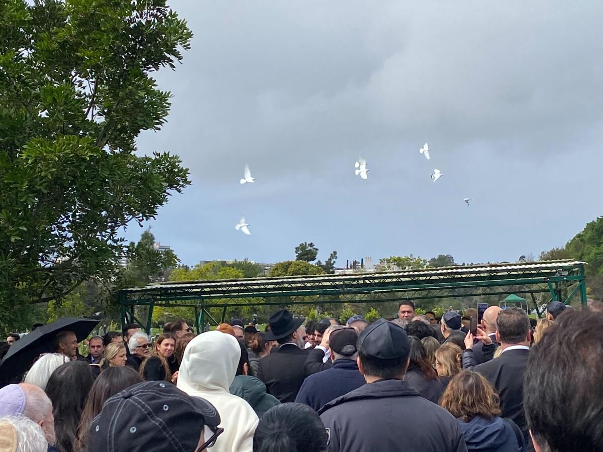 Doves released by family of Benjamin Harouni fly above his grave Sunday at El Camino Memorial Park in Sorrento Valley.