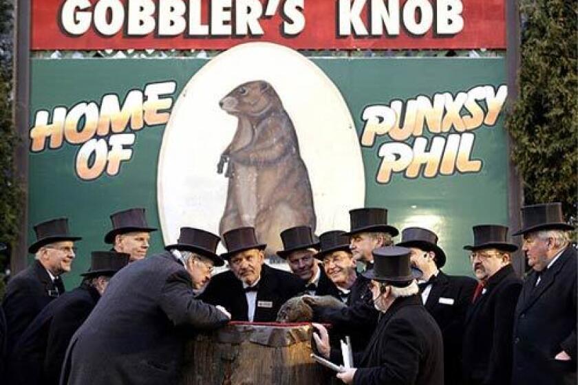 Members of the Punxsutawney Groundhog Club's Inner Circle -- they're the ones in the top hats -- gather around the groundhog known as Punxsutawney Phil at the annual Groundhog Day event in Pennsylvania. The club's members reported that Phil saw his shadow, which according to legend means winter will last for another six weeks.