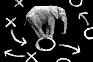 Photo illustration of an elephant on a chalk drawing of playbook Xs and Os