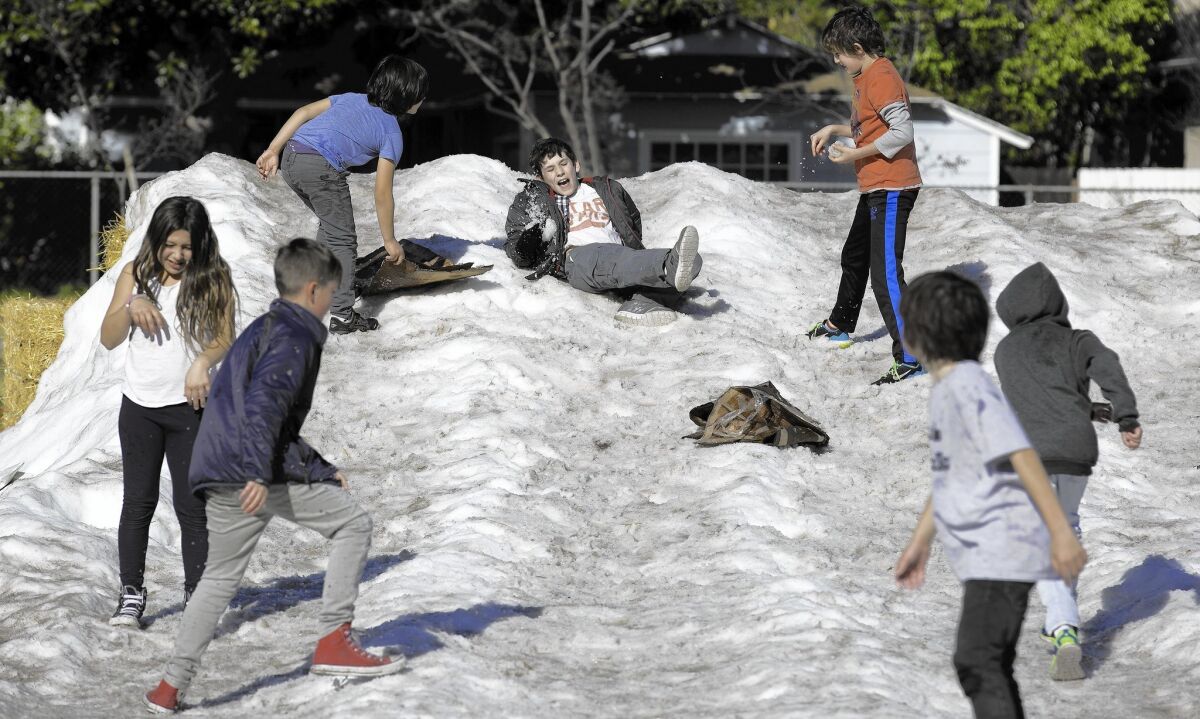 Children play on a snow hill at Studio City Recreation Center, which offered free childcare Tuesday.