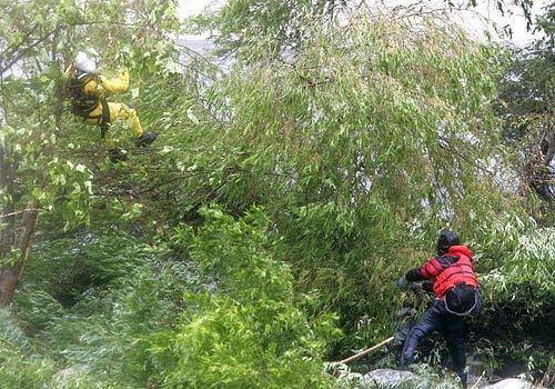 A firefighter struggles through brush as he is lowered from a helicopter to rescue a man stuck on a small island in the middle of the Los Angeles River near the Victory Boulevard Bridge in Glendale.