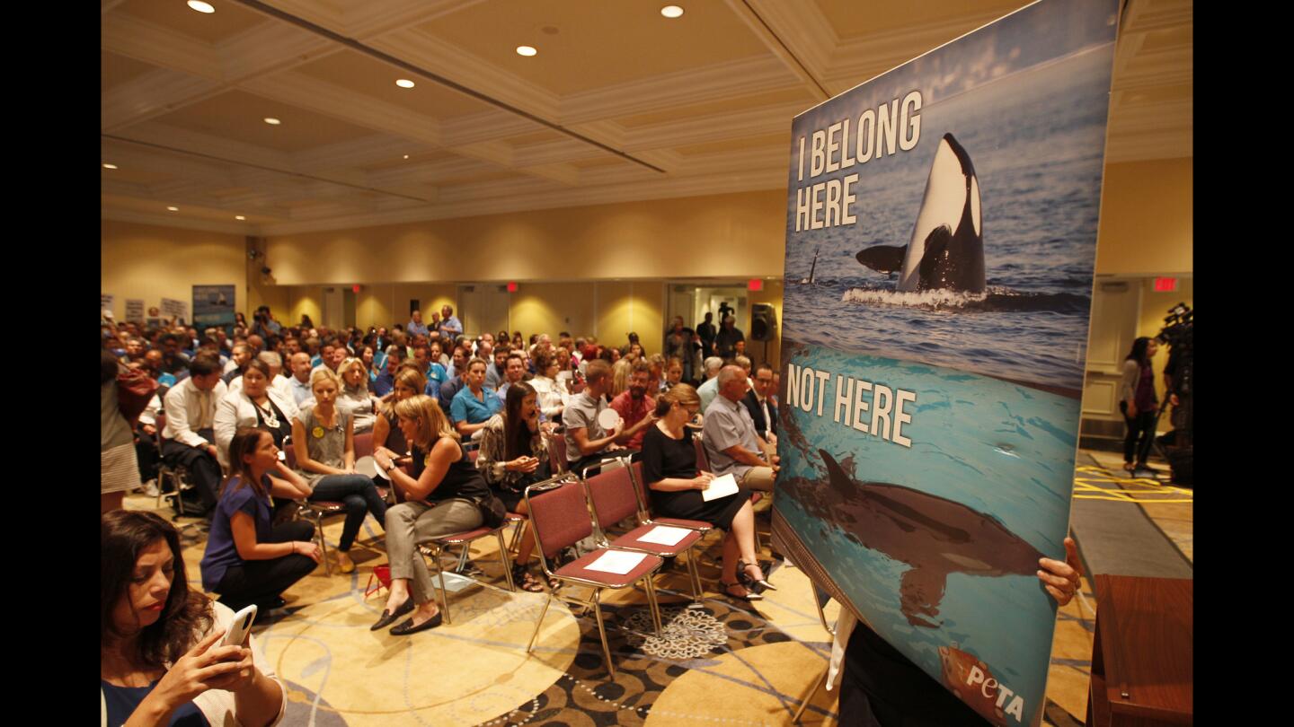 California Coastal Commission meeting