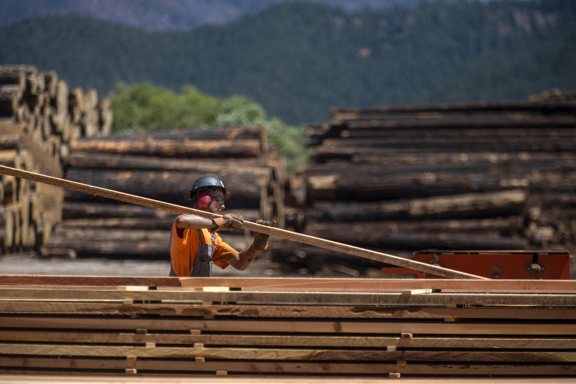 J&C Lumber is a fourth-generation family-owned timber harvesting company located near Greenville. 