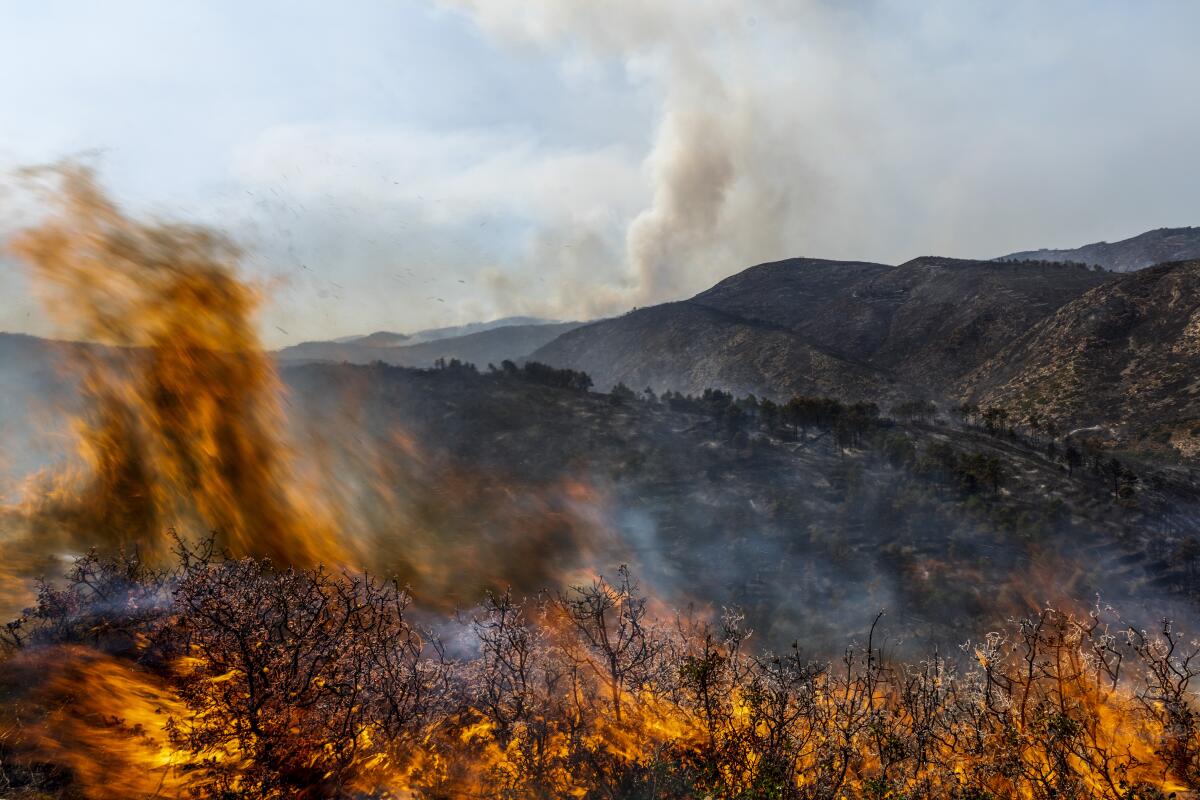 Flames and smoke rise from a mountainous, forested landscape.