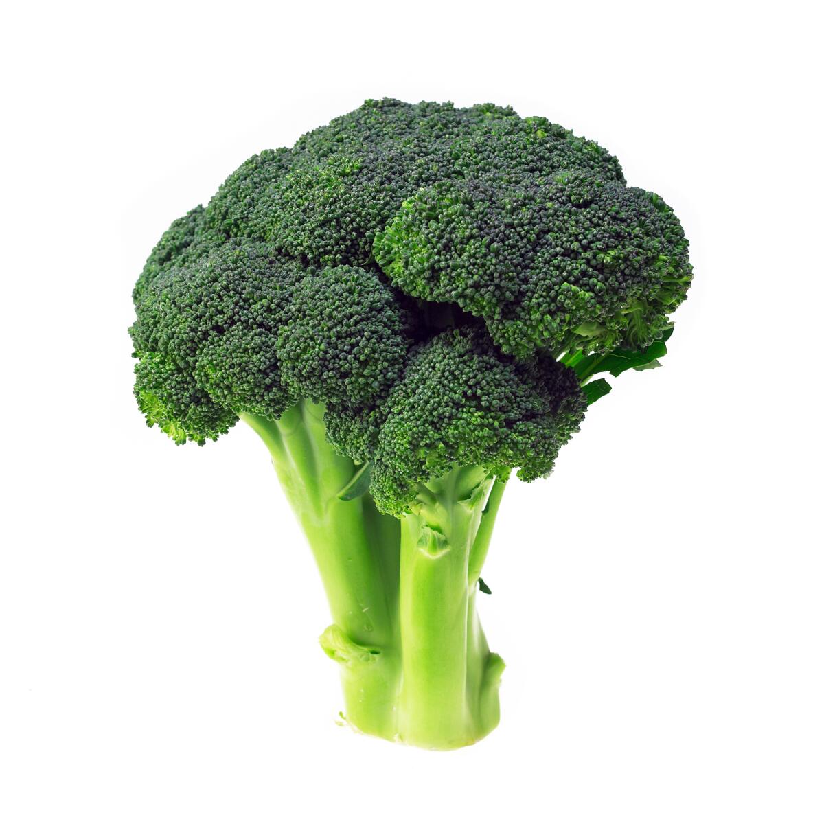 Broccoli