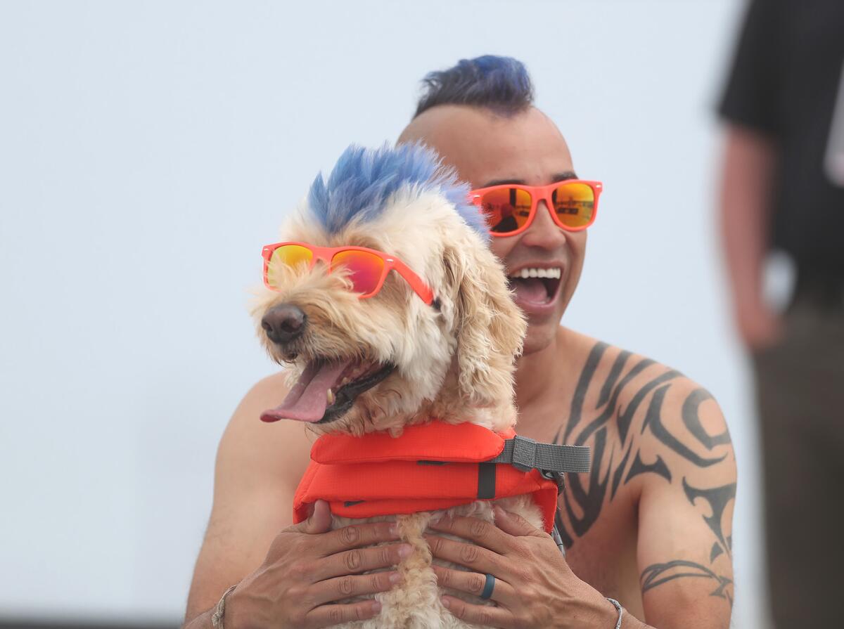 Derby is announced to the crowd with owner Kioni "Kentucky" Gallahue during Friday's competition at Huntington State Beach.