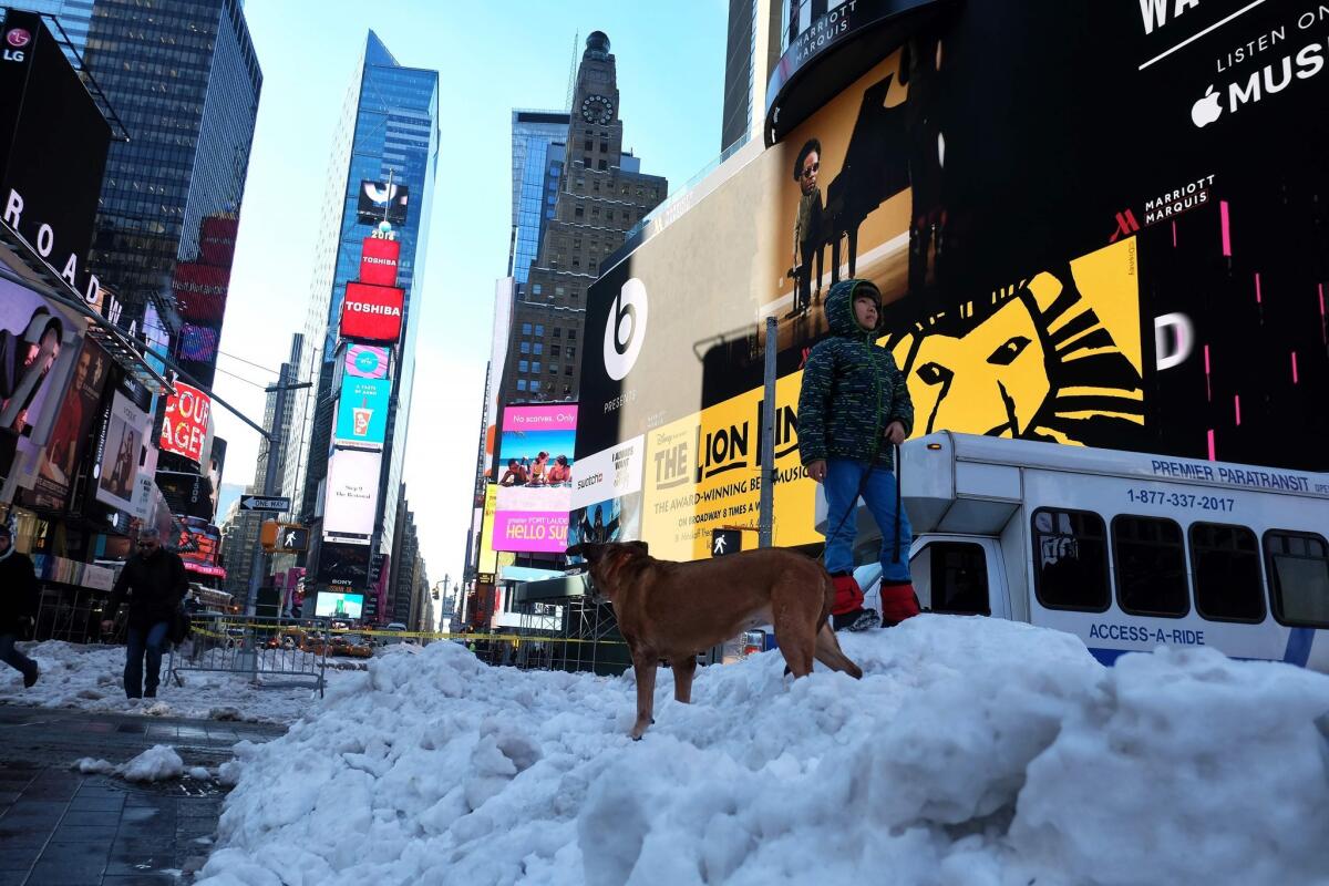 A young girl stands on a pile of snow with her dog at Times Square in New York on Monday.