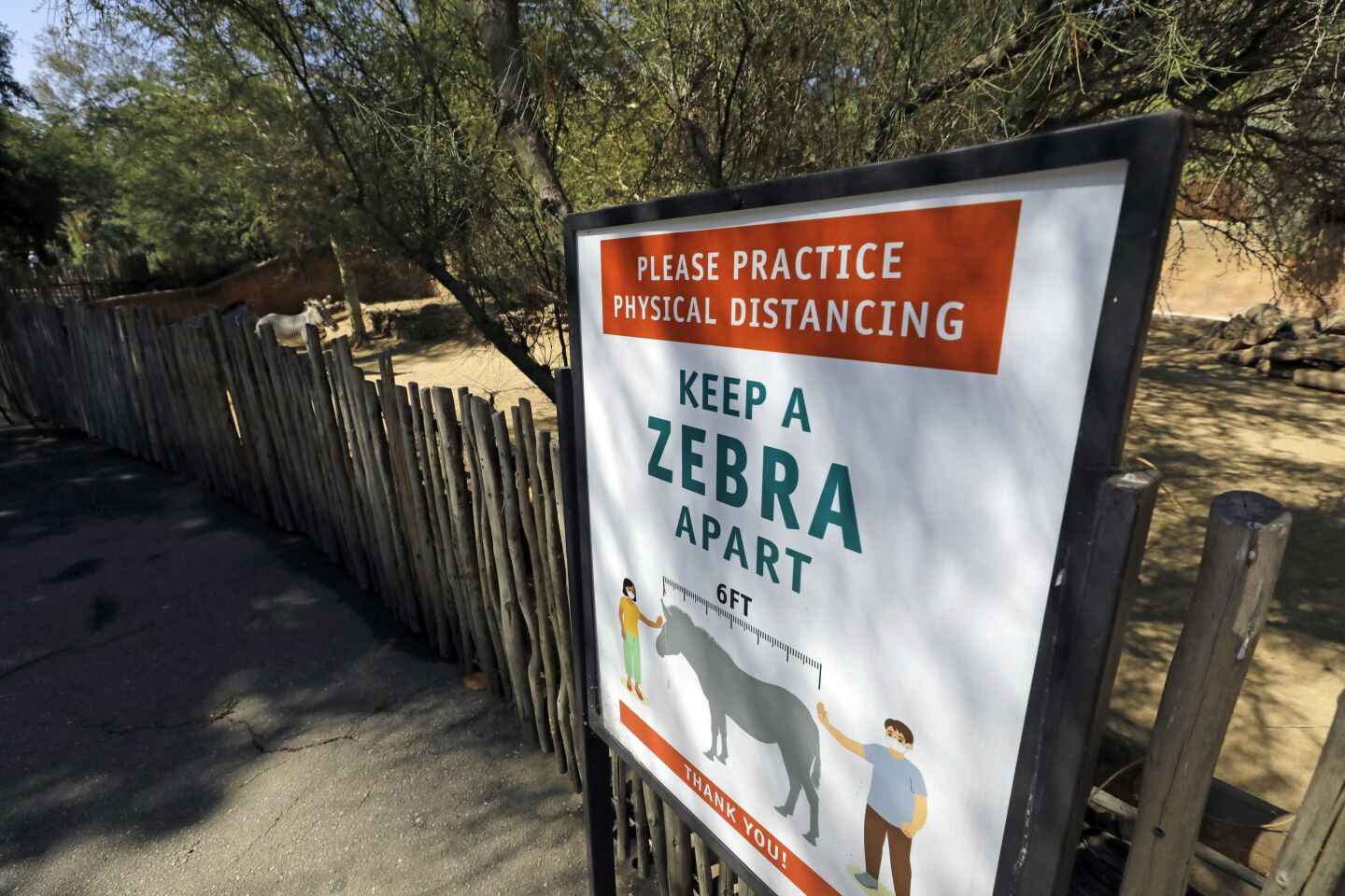 Social distancing signs tell visitors to stay one zebra apart