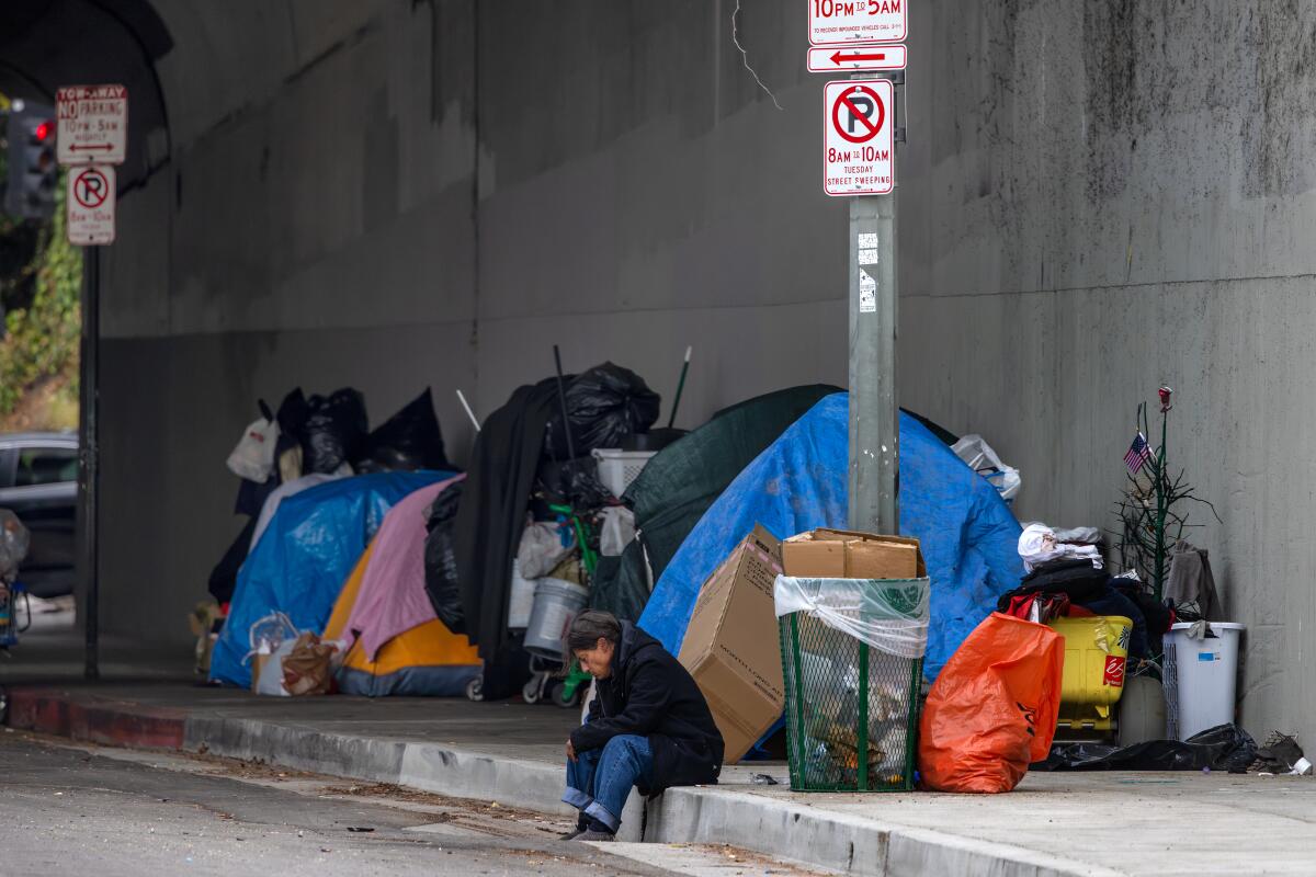 A homeless encampment under a freeway overpass.