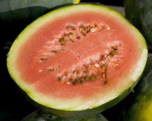 Red-seeded watermelon