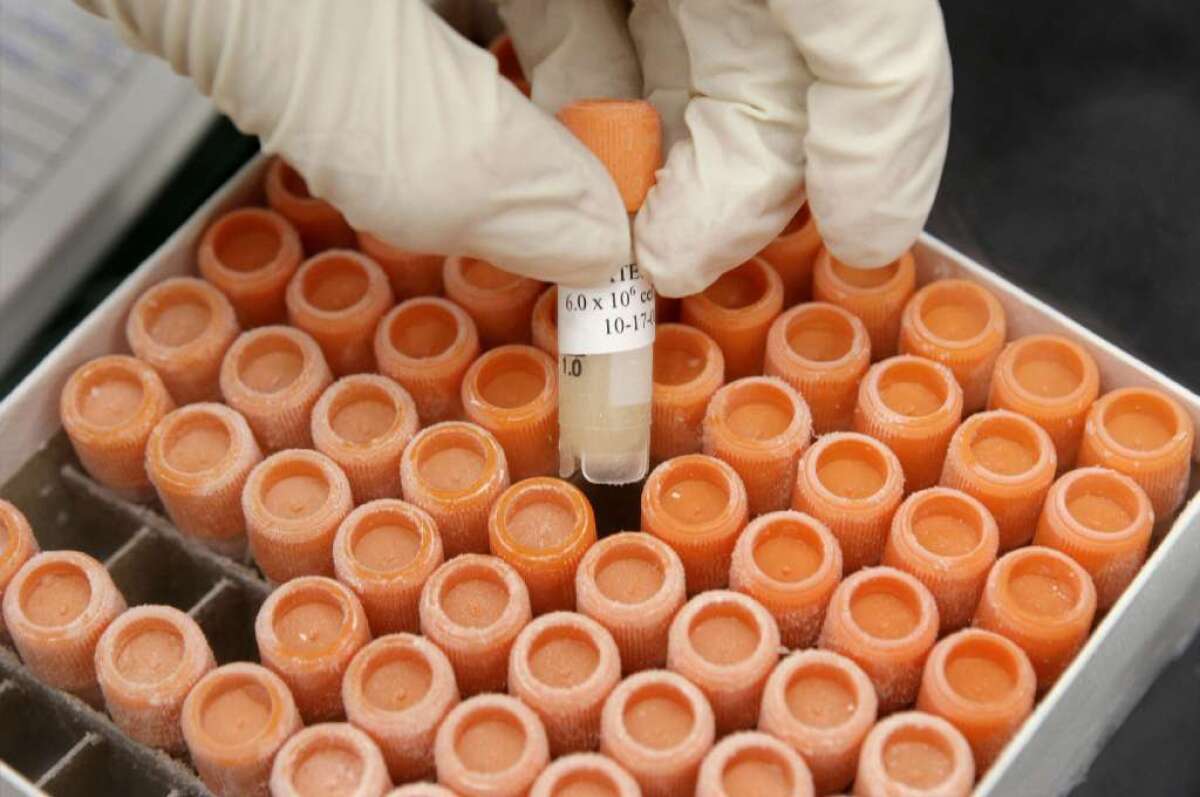 A laboratory worker lifts a frozen vial of human embryonic stem cells