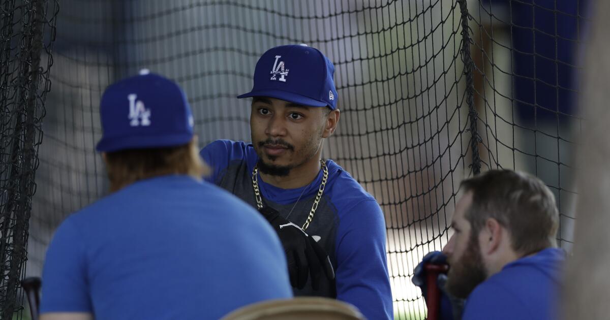 Dodgers Spring Training 2020 Fitted hat available at The Locker