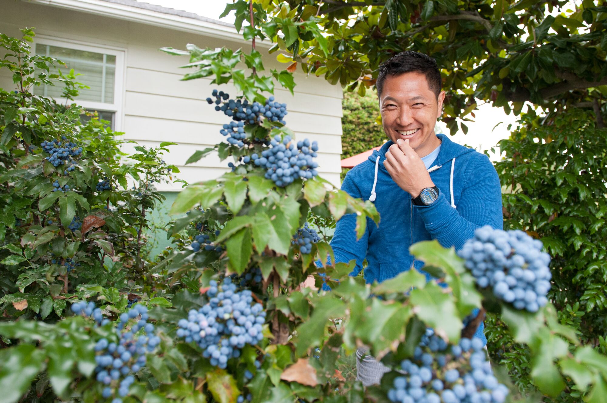 Isara Ongwiseth stands smiling behind a shrub covered with clusters of blue berries.