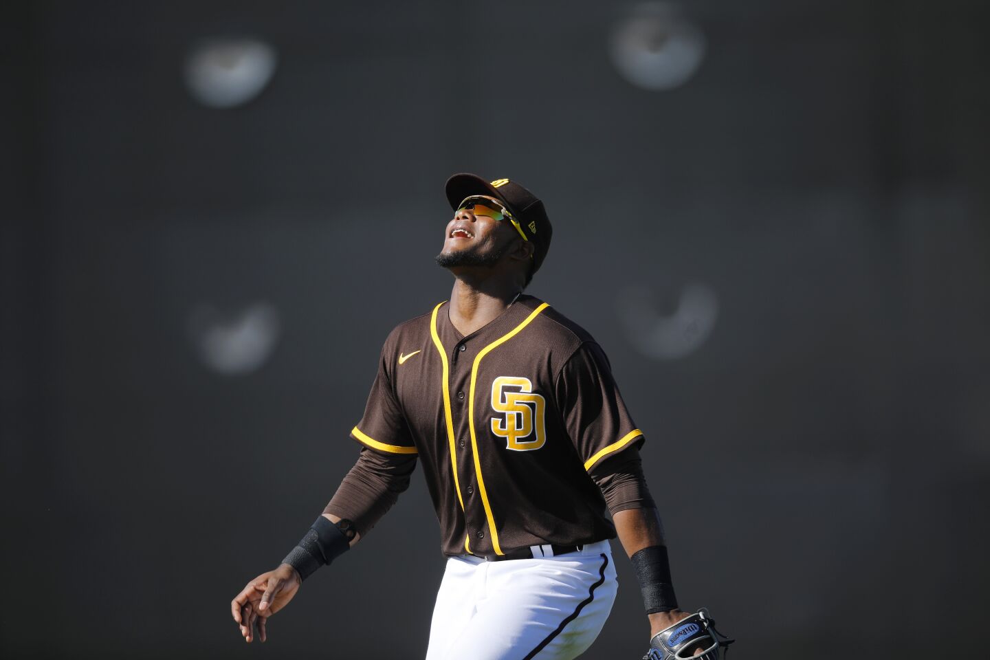 San Diego Padres Franchy Cordero watches a fly ball during a spring training practice on Feb. 20, 2020.