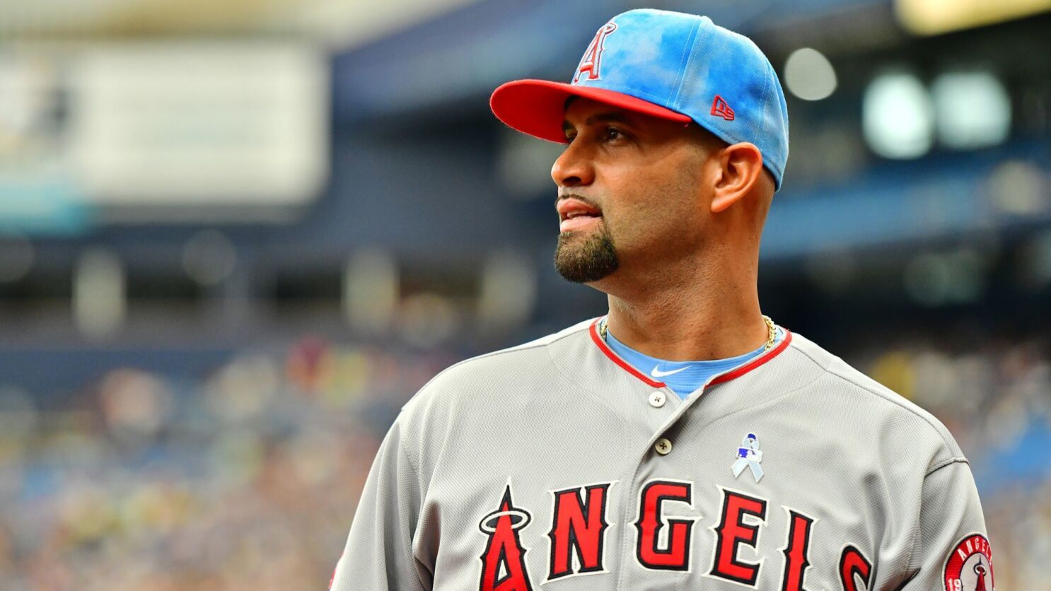 Albert Pujols Return To St Louis Set For Adulation Not Condemnation Los Angeles Times