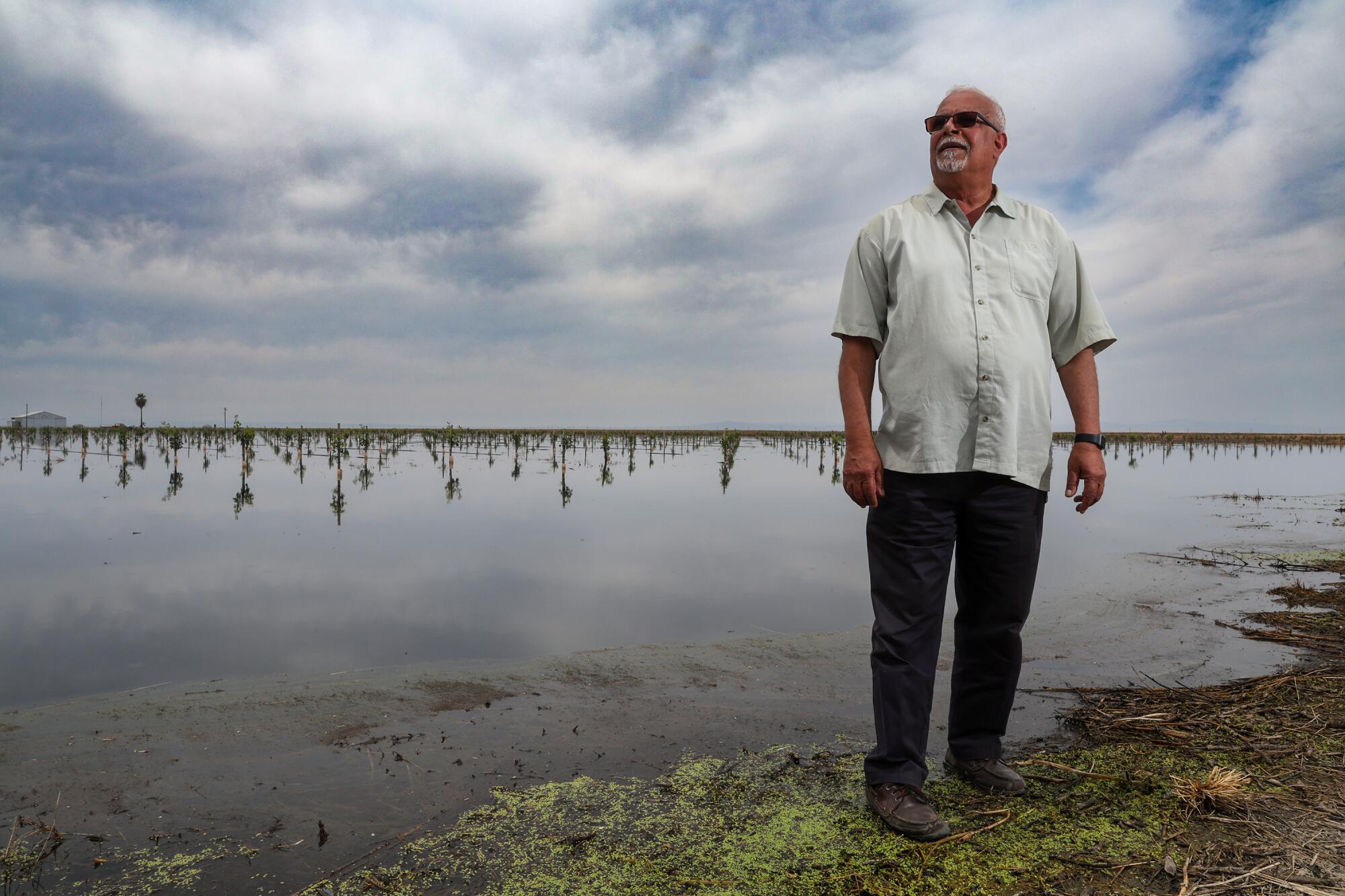A man stands with a flooded pistachio orchard behind him.