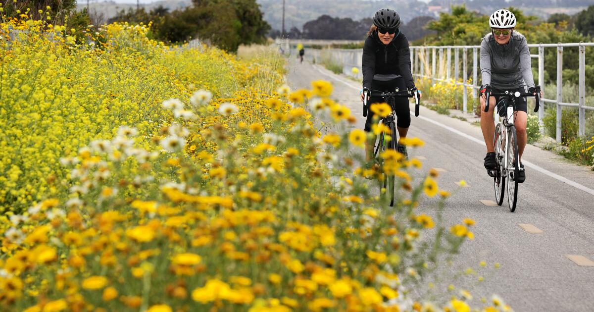 O que fazer e onde ir num segundo encontro em Los Angeles O que fazer e onde ir num segundo encontro em Los Angeles