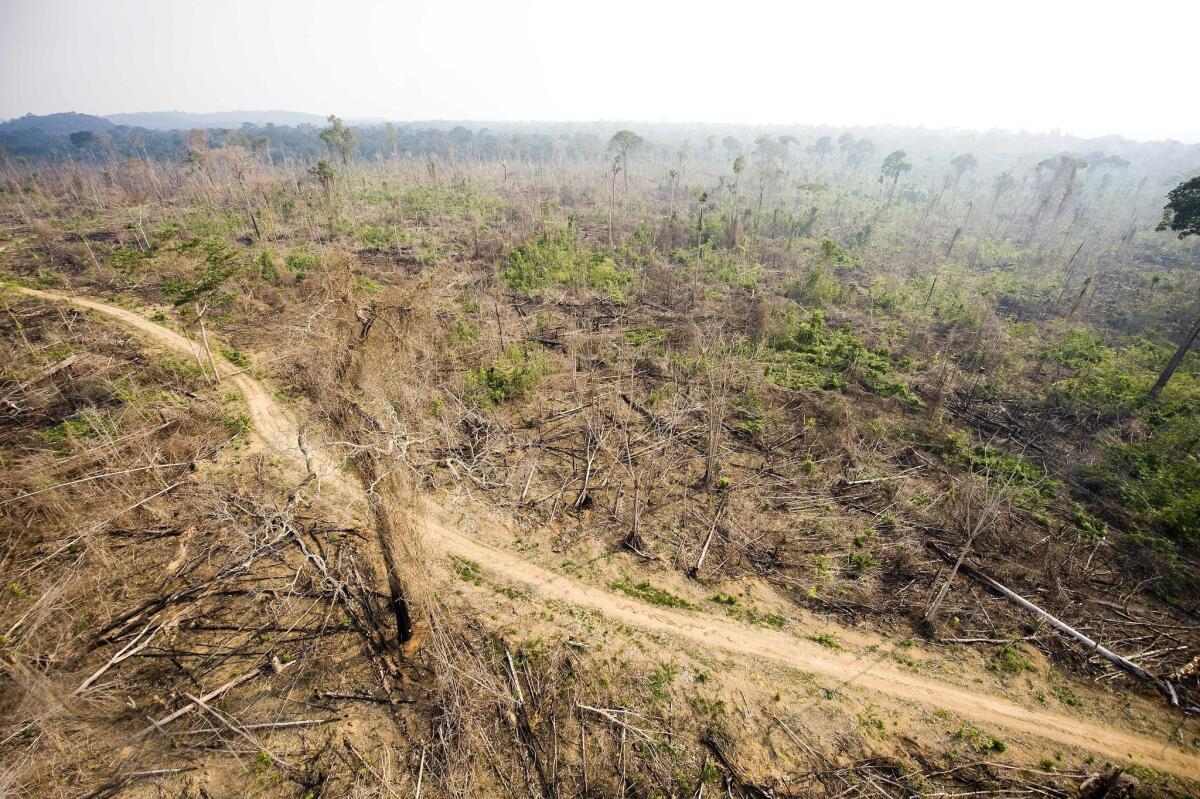 This aerial picture taken on Nov. 29, 2009 shows a sector of the Amazon forest, in the state of Para, in northern Brazil, illegally deforested.