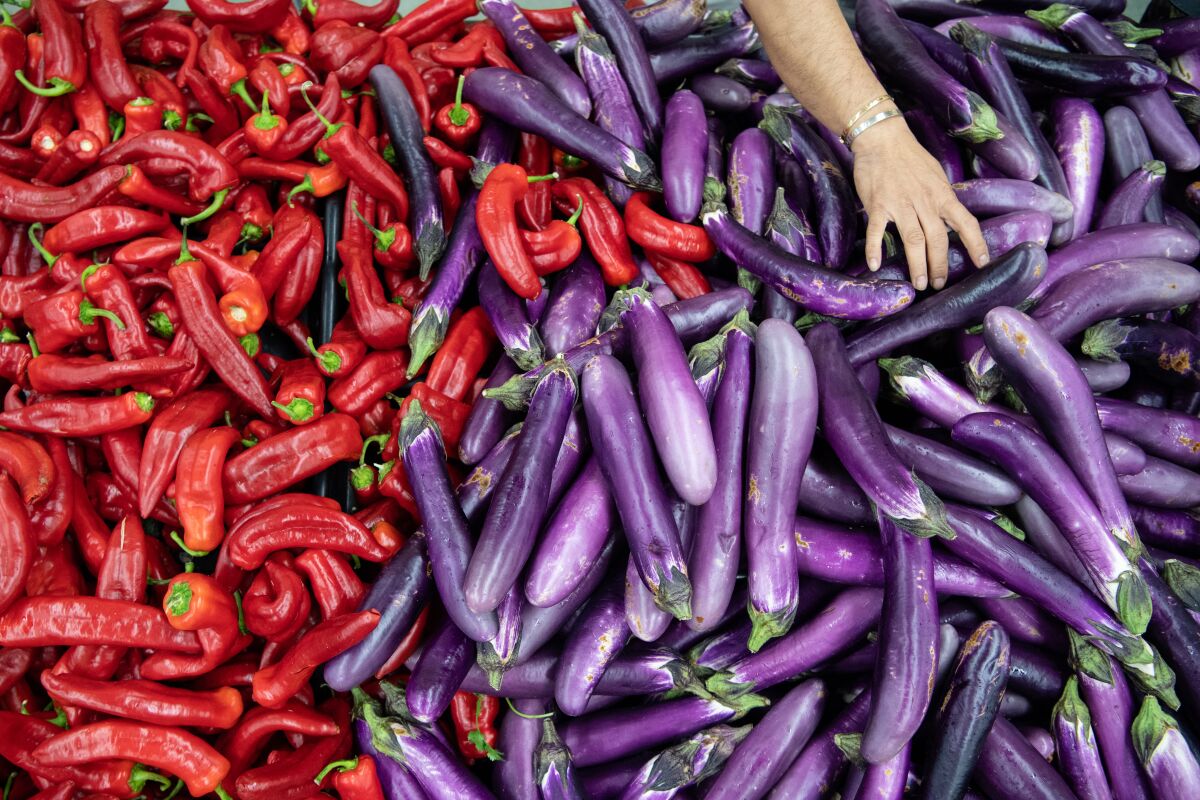 Peppers and eggplants