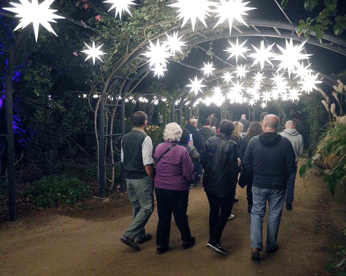 Photo Gallery: Descanso Gardens Enchanted Forest of Light