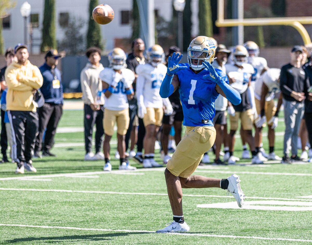 Receiver J. Michael Sturdivant waits for the ball to reach him during a 2023 UCLA spring football practice.