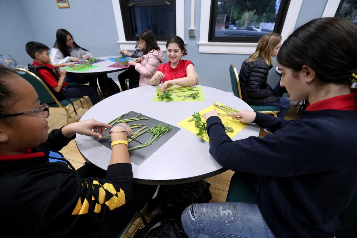 Students Lyndsey Lopez, Suzie Nazlukhanyan and Maryana Karpetyan cut the vegetables at the Roosevelt Middle School enrichment culinary class on Thursday.