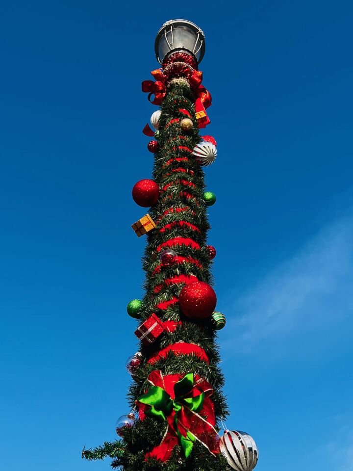 Street lamps in a Loma Portal neighborhood were decorated by residents in what has become an annual holiday decorating tradition.