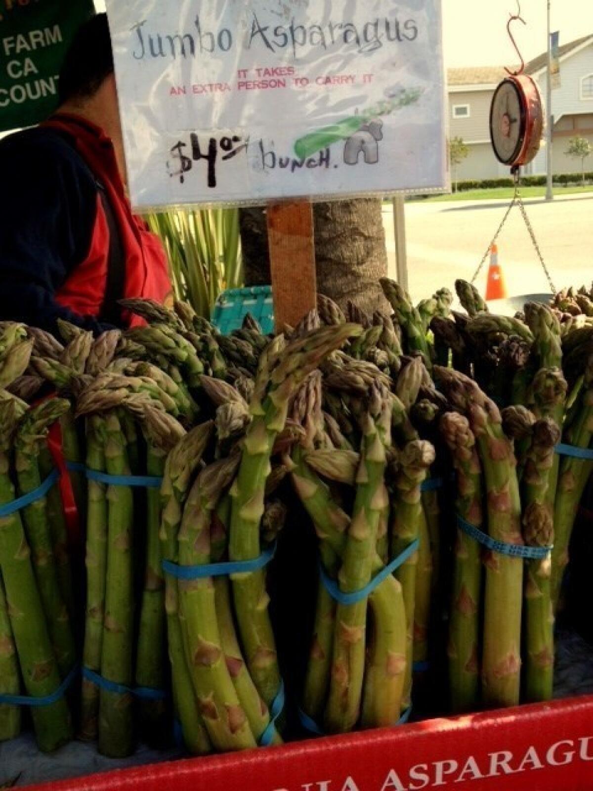 Jumbo asparagus at Zuckerman Farms.