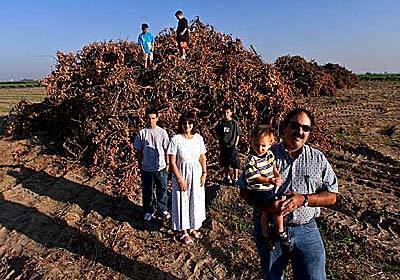 Grower Paul Khasigian holds his son Amos and stands with wife, Connie and sons Arman, left, and Aaron. Sons Alan, left, and Andrew stand atop a pile of grapevines set to be burned.