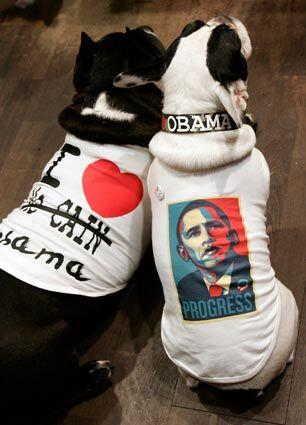 Obama dogs