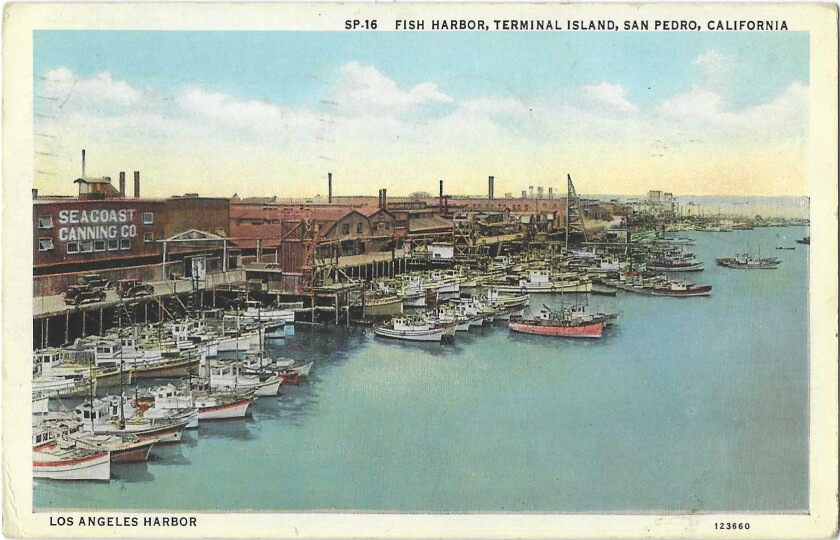 Vintage postcard shows boats, a cannery and buildings at Fish Harbor, Terminal Island