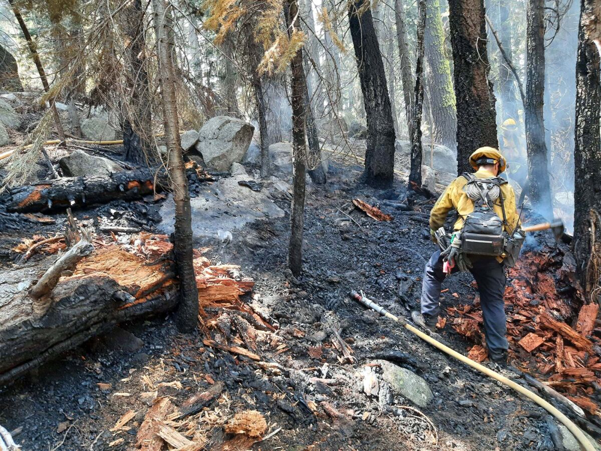 A firefighter puts out hot spots on a suspected arson fire near South Lake Tahoe.