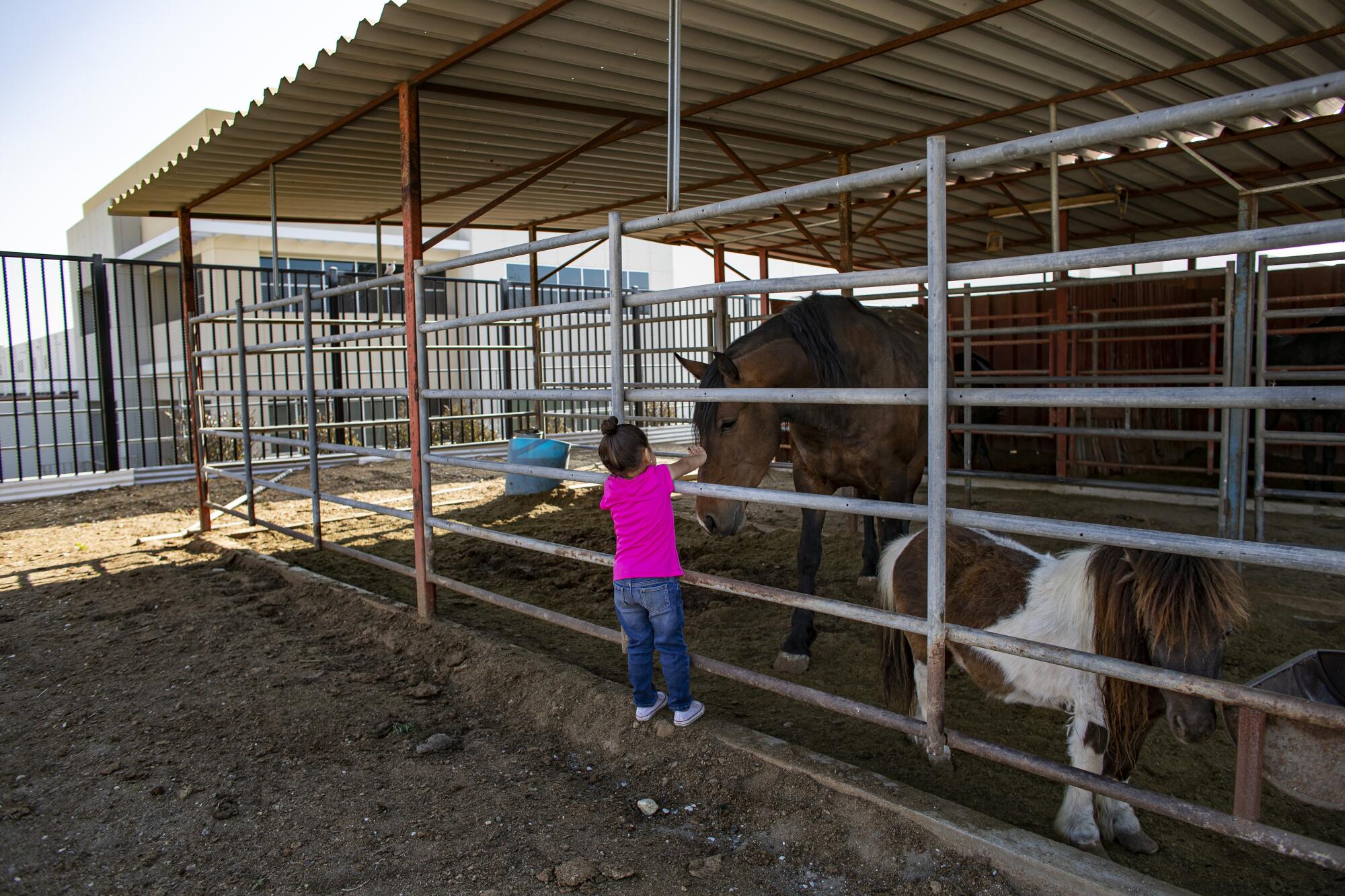 Arianna Diaz pets family horses in her backyard which now abuts a giant warehouse 