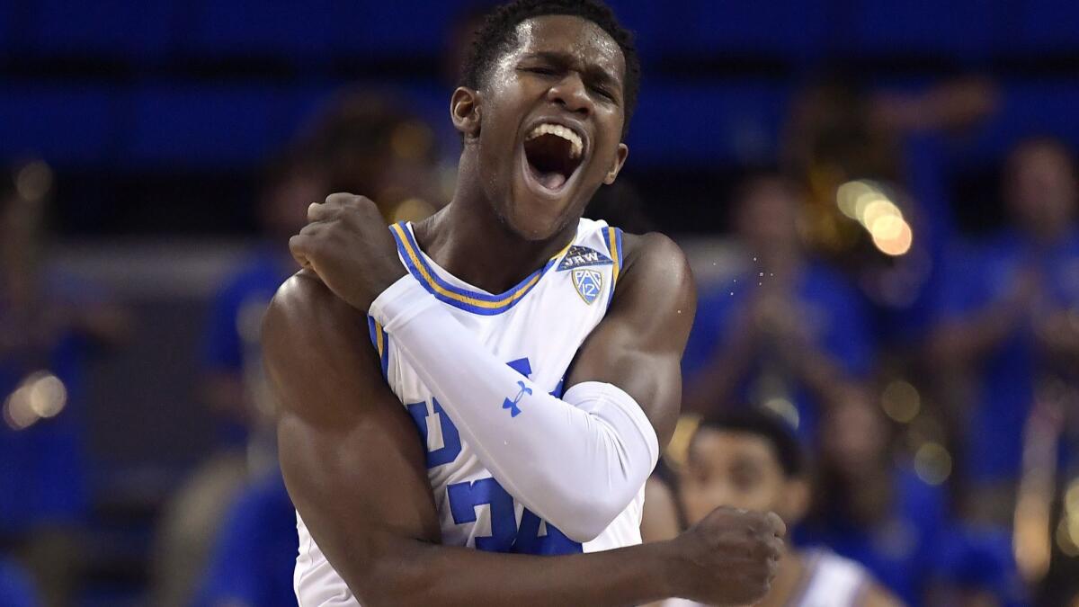 UCLA guard David Singleton celebrates during a game against Stanford in January. UCLA coach Mick Cronin knows all about Singleton's on-court tenacity.