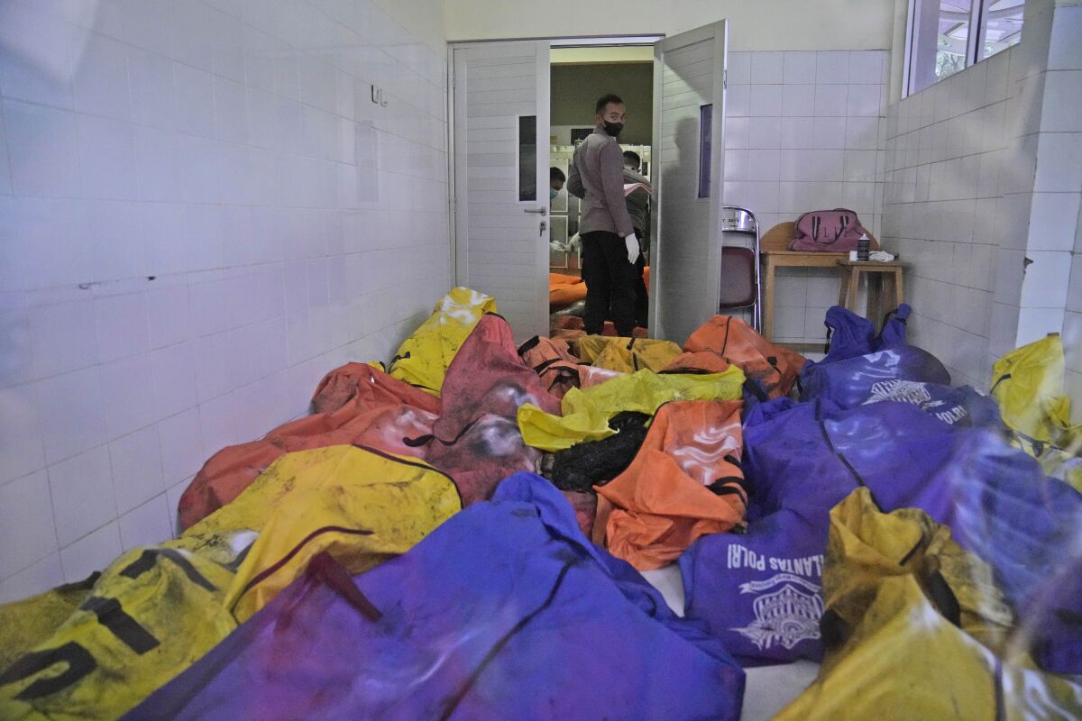 Many body bags containing fire victims in a morgue