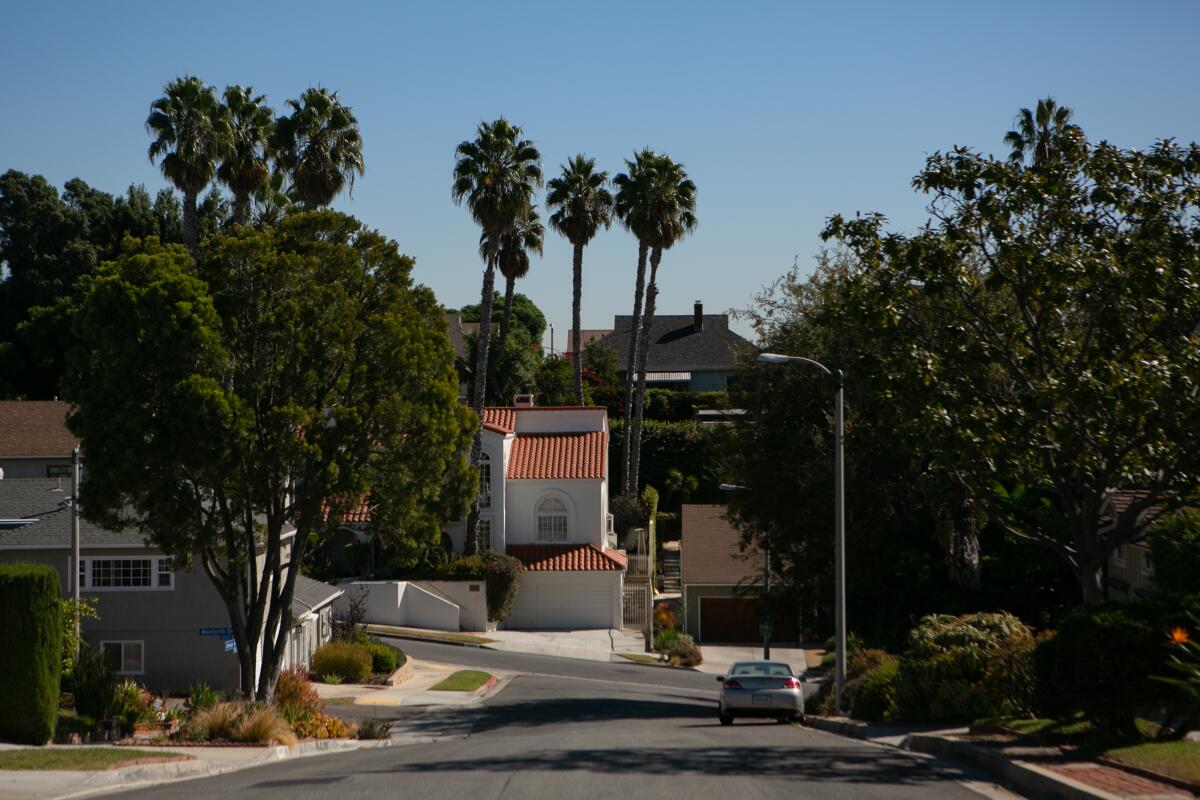 Homes near palm trees and hills