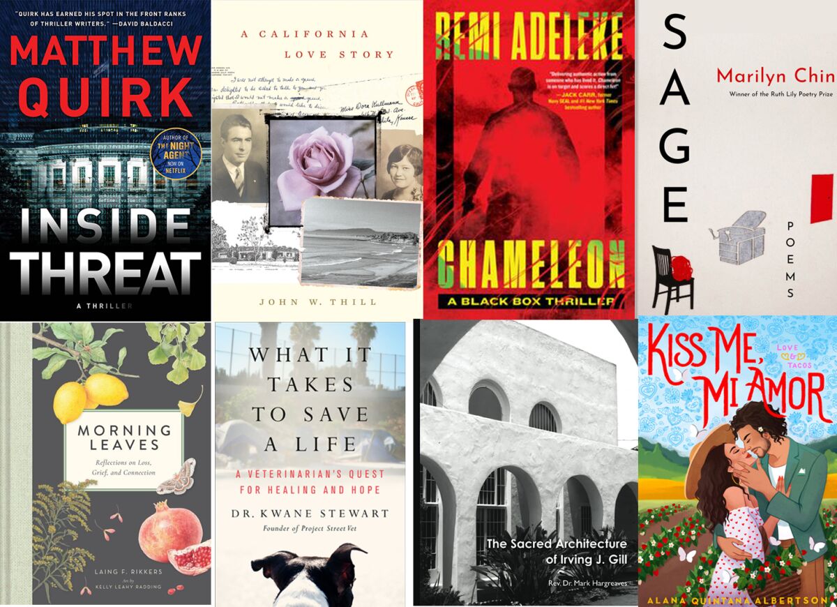 Un collage de libros publicados este verano por autores de San Diego.