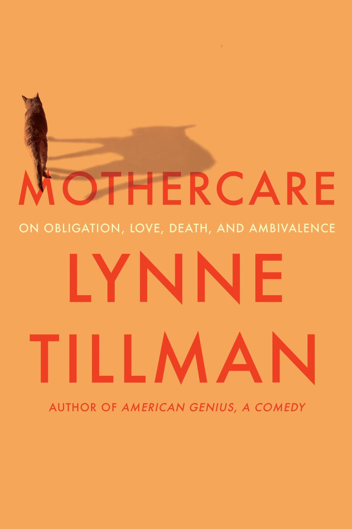 "Mothercare: On Obligation, Love, Death and Ambivalence" by Lynne Tillman