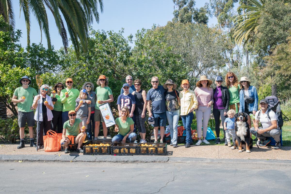 ProduceGood volunteers do “spring gleaning“ at Rancho Valencia.