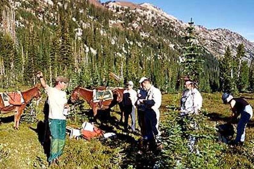 A ranger, left, directs American Hiking Society volunteers restoring a trail in Eagle Cap Wilderness, Ore.