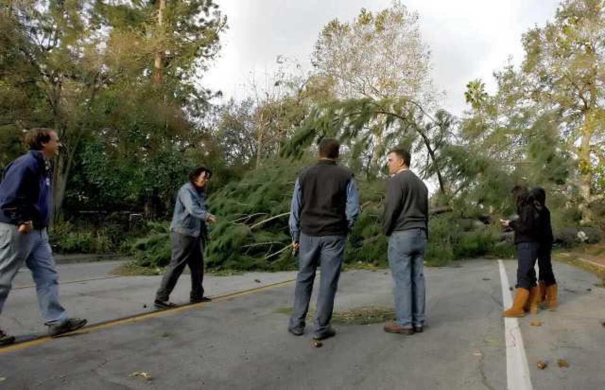 A tree completely blocks the 3500 block of E. California Boulevard in Pasadena on Dec. 1. A study commissioned by Southern California Edison showed 70 ways the utility could improve its response for the next disaster.