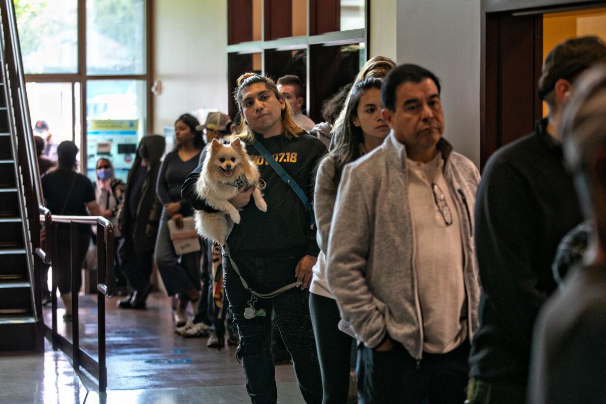 Voters stand in line, one holding an alert little dog.